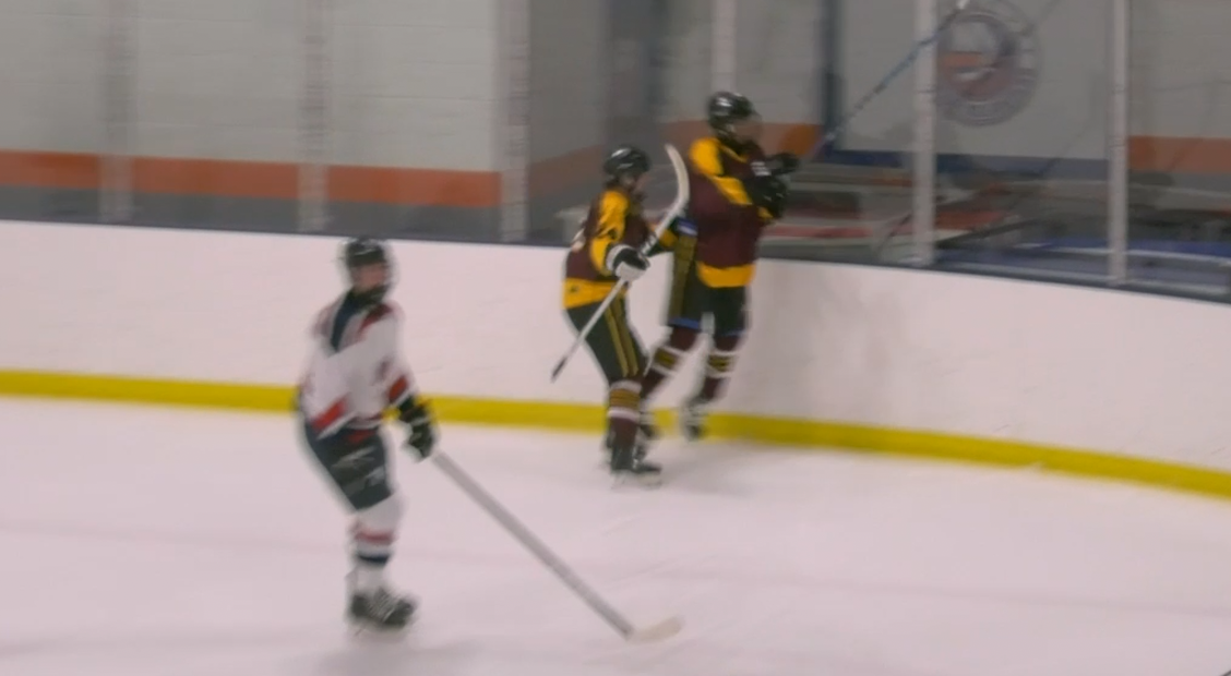 You are currently viewing Krauthamer with the… two goal night?
